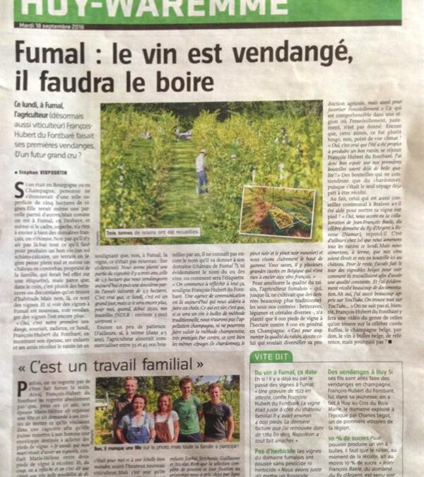 Fumal – Le vin est vendangé