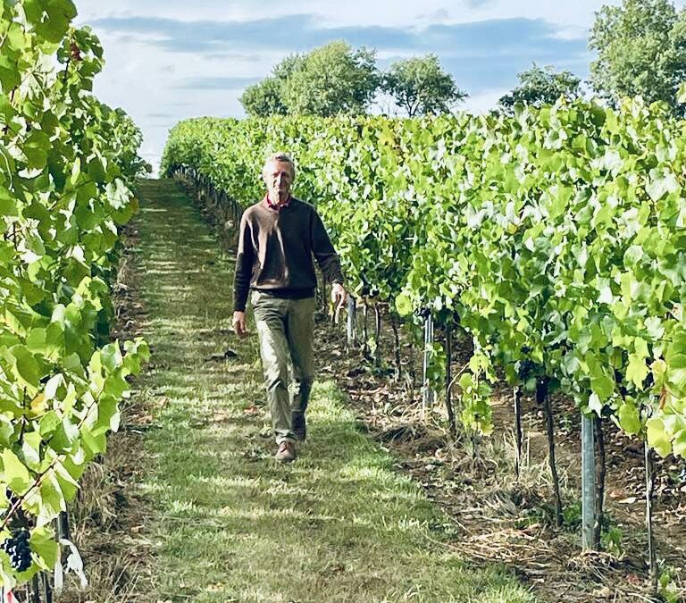 La vigne sous l’oeil du patron !